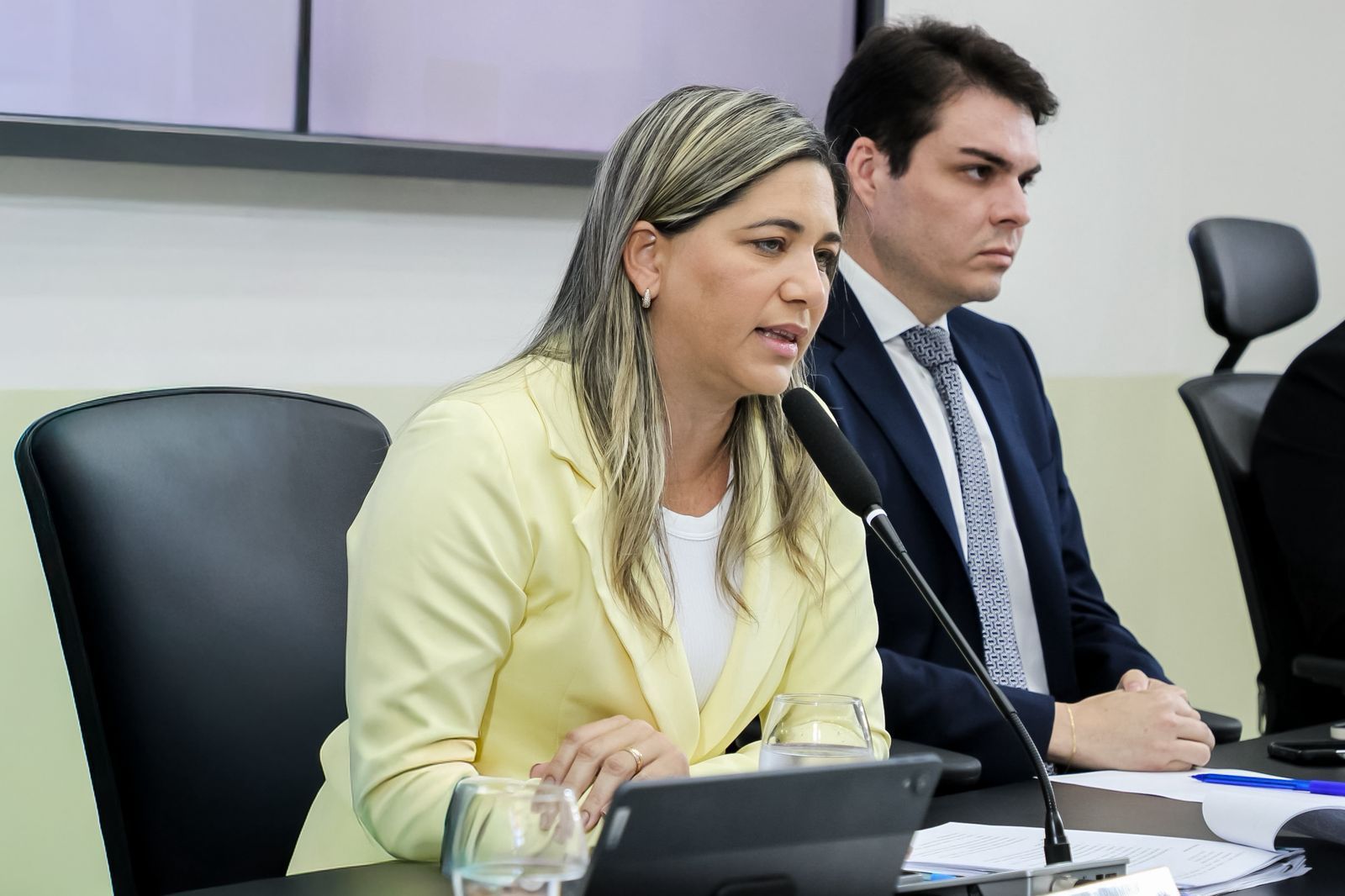 No momento, você está visualizando Secretária de Educação destaca avanços da pasta durante sessão na Câmara